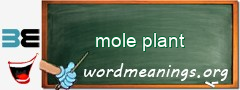 WordMeaning blackboard for mole plant